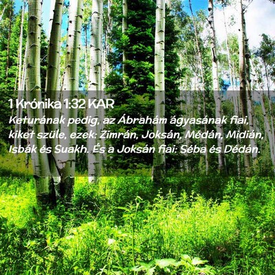 Picture 02 - 1 Krónika 1:32 KAR - Keturának pedig, az Ábrahám ágyasának fiai, - Bible Verse Picture