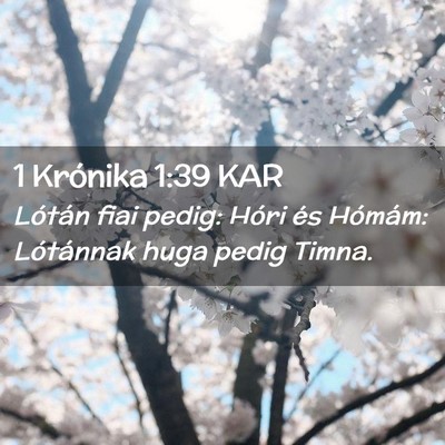 Picture 02 - 1 Krónika 1:39 KAR - Lótán fiai pedig: Hóri és Hómám: Lótánnak - Bible Verse Picture