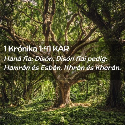 Picture 02 - 1 Krónika 1:41 KAR - Haná fia: Disón, Disón fiai pedig: Hamrán és - Bible Verse Picture