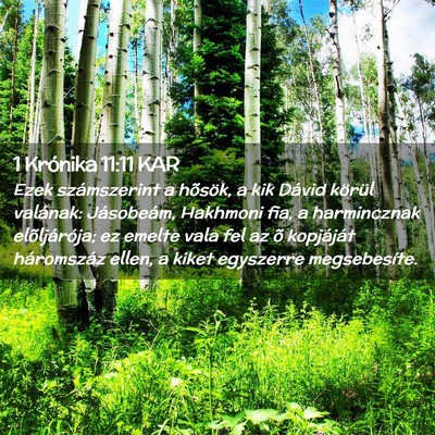 Picture 02 - 1 Krónika 11:11 KAR - Ezek számszerint a hõsök, a kik Dávid körül - Bible Verse Picture