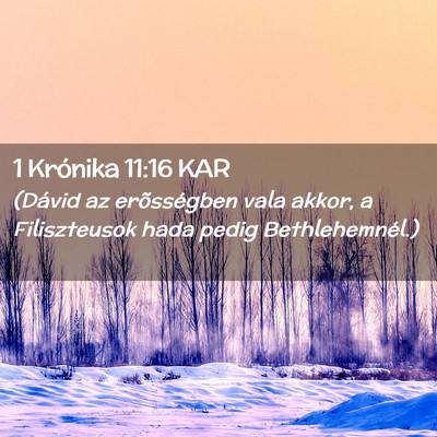 Picture 02 - 1 Krónika 11:16 KAR - (Dávid az erõsségben vala akkor, a - Bible Verse Picture