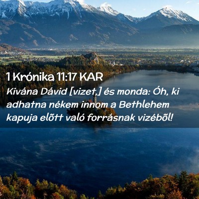 Picture 02 - 1 Krónika 11:17 KAR - Kivána Dávid [vizet,] és monda: Óh, ki - Bible Verse Picture