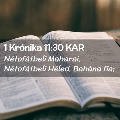 Picture 02 - 1 Krónika 11:30 KAR - Nétofátbeli Maharai, Nétofátbeli Héled, - Bible Verse Picture