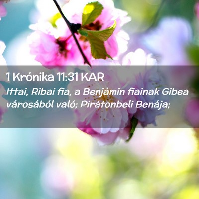 Picture 02 - 1 Krónika 11:31 KAR - Ittai, Ribai fia, a Benjámin fiainak Gibea - Bible Verse Picture