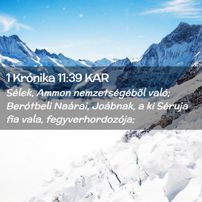 Picture 02 - 1 Krónika 11:39 KAR - Sélek, Ammon nemzetségébõl való; Berótbeli - Bible Verse Picture