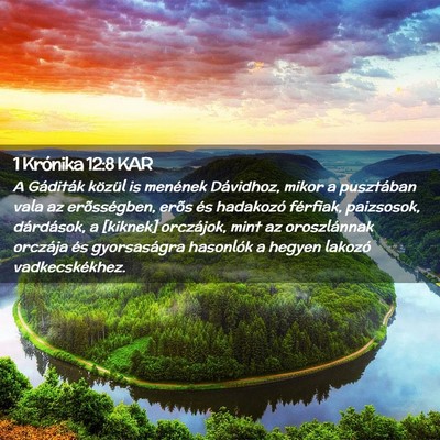 Picture 02 - 1 Krónika 12:8 KAR - A Gáditák közül is menének Dávidhoz, mikor - Bible Verse Picture