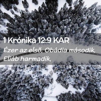 Picture 02 - 1 Krónika 12:9 KAR - Ézer az elsõ, Obádia második, Eliáb - Bible Verse Picture
