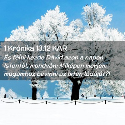 Picture 02 - 1 Krónika 13:12 KAR - És félni kezde Dávid azon a napon Istentõl, - Bible Verse Picture