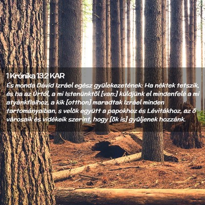 Picture 02 - 1 Krónika 13:2 KAR - És monda Dávid Izráel egész gyülekezetének: - Bible Verse Picture