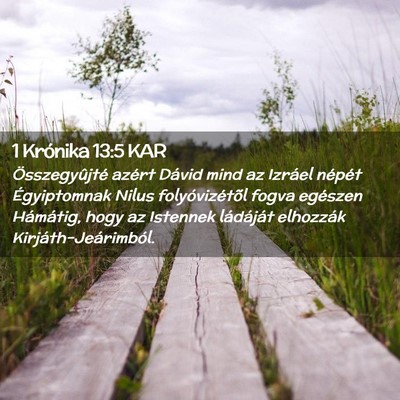 Picture 02 - 1 Krónika 13:5 KAR - Összegyûjté azért Dávid mind az Izráel - Bible Verse Picture