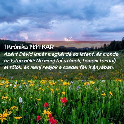 Picture 02 - 1 Krónika 14:14 KAR - Azért Dávid ismét megkérdé az Istent, és - Bible Verse Picture
