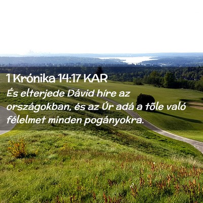 Picture 02 - 1 Krónika 14:17 KAR - És elterjede Dávid híre az országokban, és - Bible Verse Picture