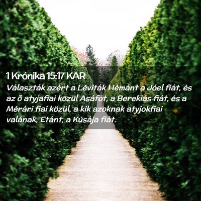 Picture 02 - 1 Krónika 15:17 KAR - Választák azért a Léviták Hémánt a Jóel - Bible Verse Picture