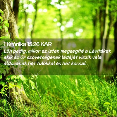 Picture 02 - 1 Krónika 15:26 KAR - Lõn pedig, mikor az Isten megsegíté a - Bible Verse Picture