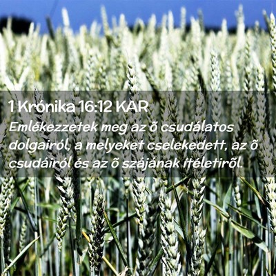 Picture 02 - 1 Krónika 16:12 KAR - Emlékezzetek meg az õ csudálatos dolgairól, a - Bible Verse Picture