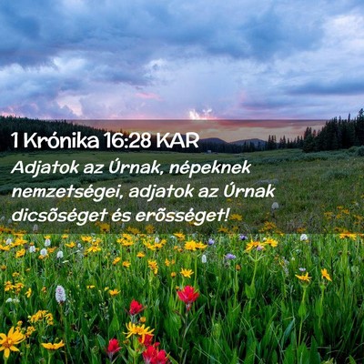 Picture 02 - 1 Krónika 16:28 KAR - Adjatok az Úrnak, népeknek nemzetségei, - Bible Verse Picture