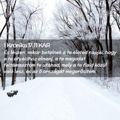Picture 02 - 1 Krónika 17:11 KAR - És lészen, mikor betelnek a te életed napjai, - Bible Verse Picture