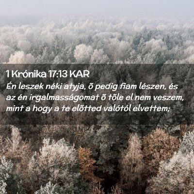 Picture 02 - 1 Krónika 17:13 KAR - Én leszek néki atyja, õ pedig fiam lészen, - Bible Verse Picture