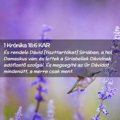 Picture 02 - 1 Krónika 18:6 KAR - És rendele Dávid [tiszttartókat] Siriában, a - Bible Verse Picture