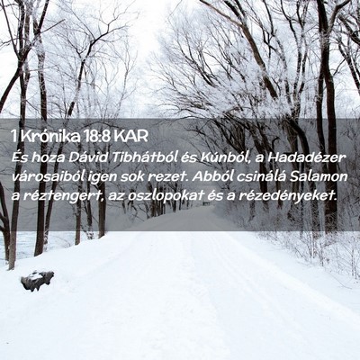 Picture 02 - 1 Krónika 18:8 KAR - És hoza Dávid Tibhátból és Kúnból, a - Bible Verse Picture