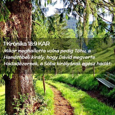 Picture 02 - 1 Krónika 18:9 KAR - Mikor meghallotta volna pedig Tóhu, a - Bible Verse Picture