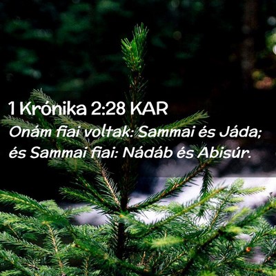 Picture 02 - 1 Krónika 2:28 KAR - Onám fiai voltak: Sammai és Jáda; és Sammai - Bible Verse Picture