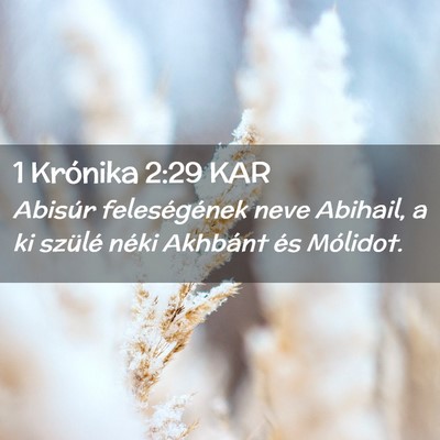 Picture 02 - 1 Krónika 2:29 KAR - Abisúr feleségének neve Abihail, a ki szülé - Bible Verse Picture