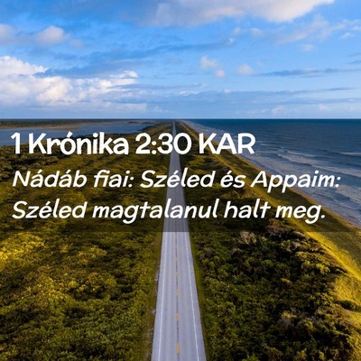 Picture 02 - 1 Krónika 2:30 KAR - Nádáb fiai: Széled és Appaim: Széled - Bible Verse Picture