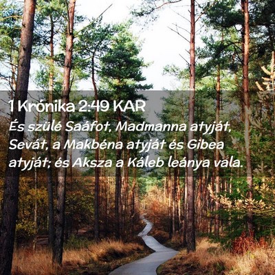 Picture 02 - 1 Krónika 2:49 KAR - És szülé Saáfot, Madmanna atyját, Sevát, a - Bible Verse Picture