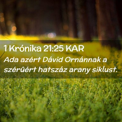 Picture 02 - 1 Krónika 21:25 KAR - Ada azért Dávid Ornánnak a szérûért - Bible Verse Picture