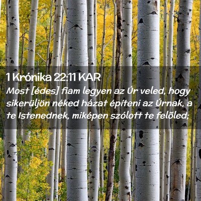 Picture 02 - 1 Krónika 22:11 KAR - Most [édes] fiam legyen az Úr veled, hogy - Bible Verse Picture