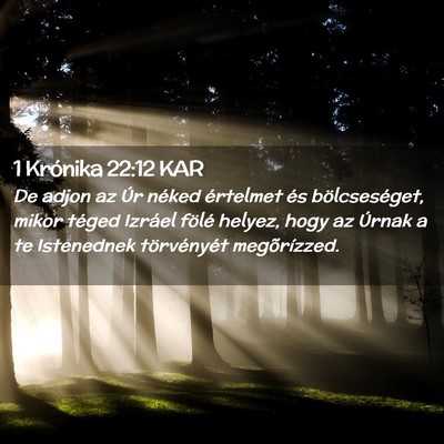 Picture 02 - 1 Krónika 22:12 KAR - De adjon az Úr néked értelmet és - Bible Verse Picture