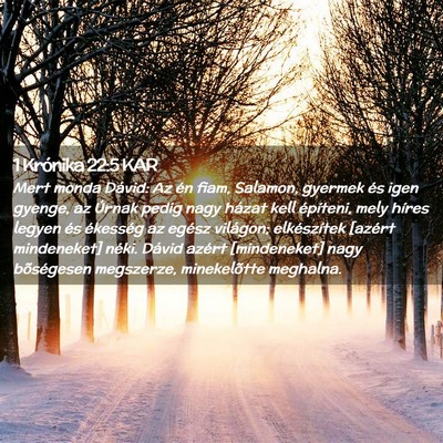 Picture 02 - 1 Krónika 22:5 KAR - Mert monda Dávid: Az én fiam, Salamon, gyermek - Bible Verse Picture