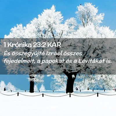 Picture 02 - 1 Krónika 23:2 KAR - És összegyûjté Izráel összes fejedelmeit, a - Bible Verse Picture