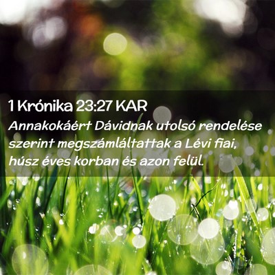 Picture 02 - 1 Krónika 23:27 KAR - Annakokáért Dávidnak utolsó rendelése - Bible Verse Picture