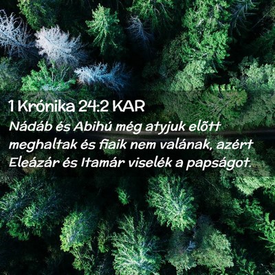 Picture 02 - 1 Krónika 24:2 KAR - Nádáb és Abihú még atyjuk elõtt meghaltak - Bible Verse Picture