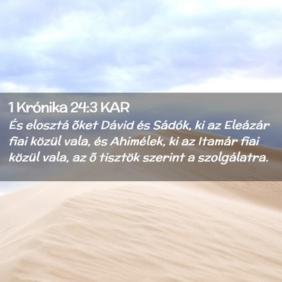 Picture 02 - 1 Krónika 24:3 KAR - És elosztá õket Dávid és Sádók, ki az - Bible Verse Picture
