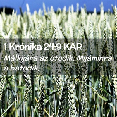 Picture 02 - 1 Krónika 24:9 KAR - Málkijára az ötödik; Mijáminra a - Bible Verse Picture