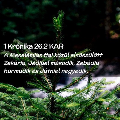 Picture 02 - 1 Krónika 26:2 KAR - A Meselémiás fiai közül elsõszülött - Bible Verse Picture