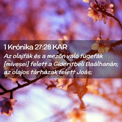 Picture 02 - 1 Krónika 27:28 KAR - Az olajfák és a mezõn való fügefák - Bible Verse Picture