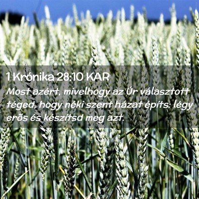 Picture 02 - 1 Krónika 28:10 KAR - Most azért, mivelhogy az Úr választott téged, - Bible Verse Picture