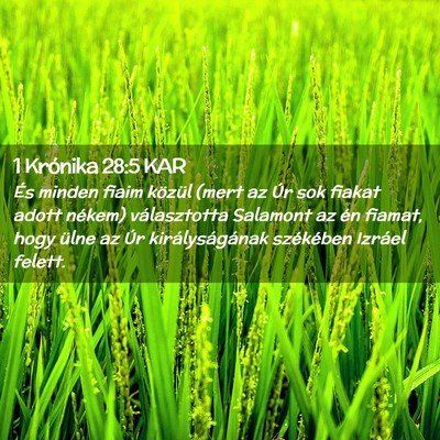 Picture 02 - 1 Krónika 28:5 KAR - És minden fiaim közül (mert az Úr sok fiakat - Bible Verse Picture