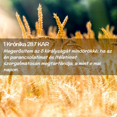 Picture 02 - 1 Krónika 28:7 KAR - Megerõsítem az õ királyságát mindörökké; - Bible Verse Picture
