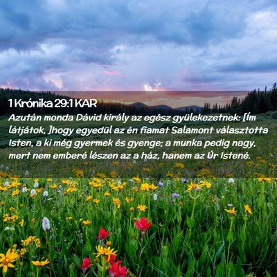 Picture 02 - 1 Krónika 29:1 KAR - Azután monda Dávid király az egész - Bible Verse Picture