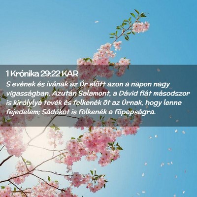 Picture 02 - 1 Krónika 29:22 KAR - S evének és ivának az Úr elõtt azon a napon - Bible Verse Picture