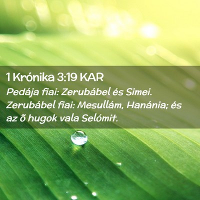 Picture 02 - 1 Krónika 3:19 KAR - Pedája fiai: Zerubábel és Simei. Zerubábel - Bible Verse Picture