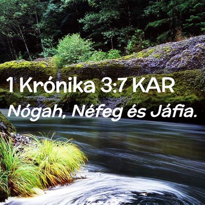 Picture 02 - 1 Krónika 3:7 KAR - Nógah, Néfeg és - Bible Verse Picture