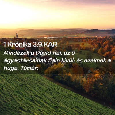 Picture 02 - 1 Krónika 3:9 KAR - Mindezek a Dávid fiai, az õ ágyastársainak - Bible Verse Picture