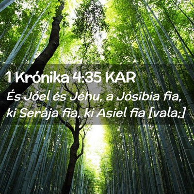 Picture 02 - 1 Krónika 4:35 KAR - És Jóel és Jéhu, a Jósibia fia, ki Serája - Bible Verse Picture