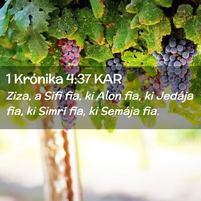 Picture 02 - 1 Krónika 4:37 KAR - Ziza, a Sifi fia, ki Alon fia, ki Jedája fia, ki - Bible Verse Picture